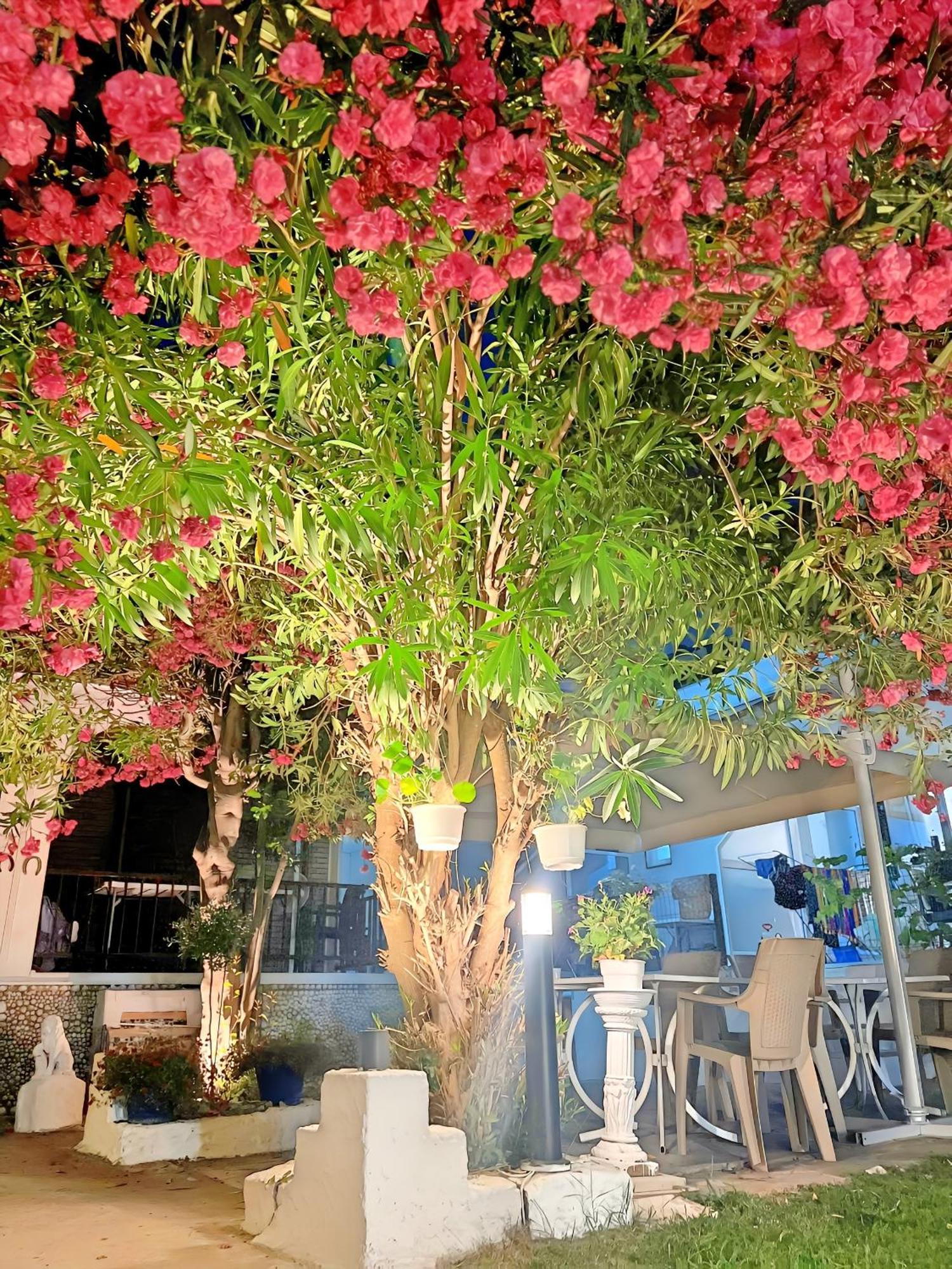 Guest House Julia สตาวรอส ภายนอก รูปภาพ